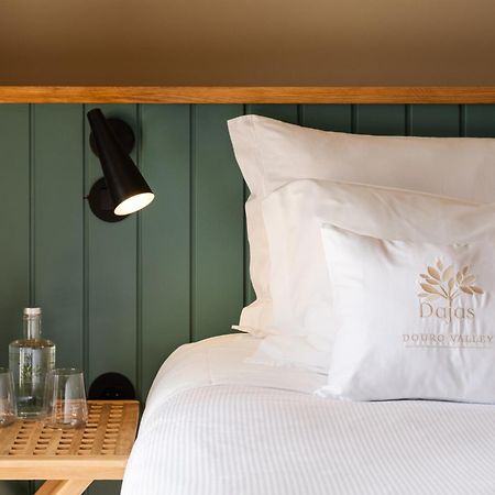 Dajas Douro Valley - Exclusive Villas Sande  エクステリア 写真